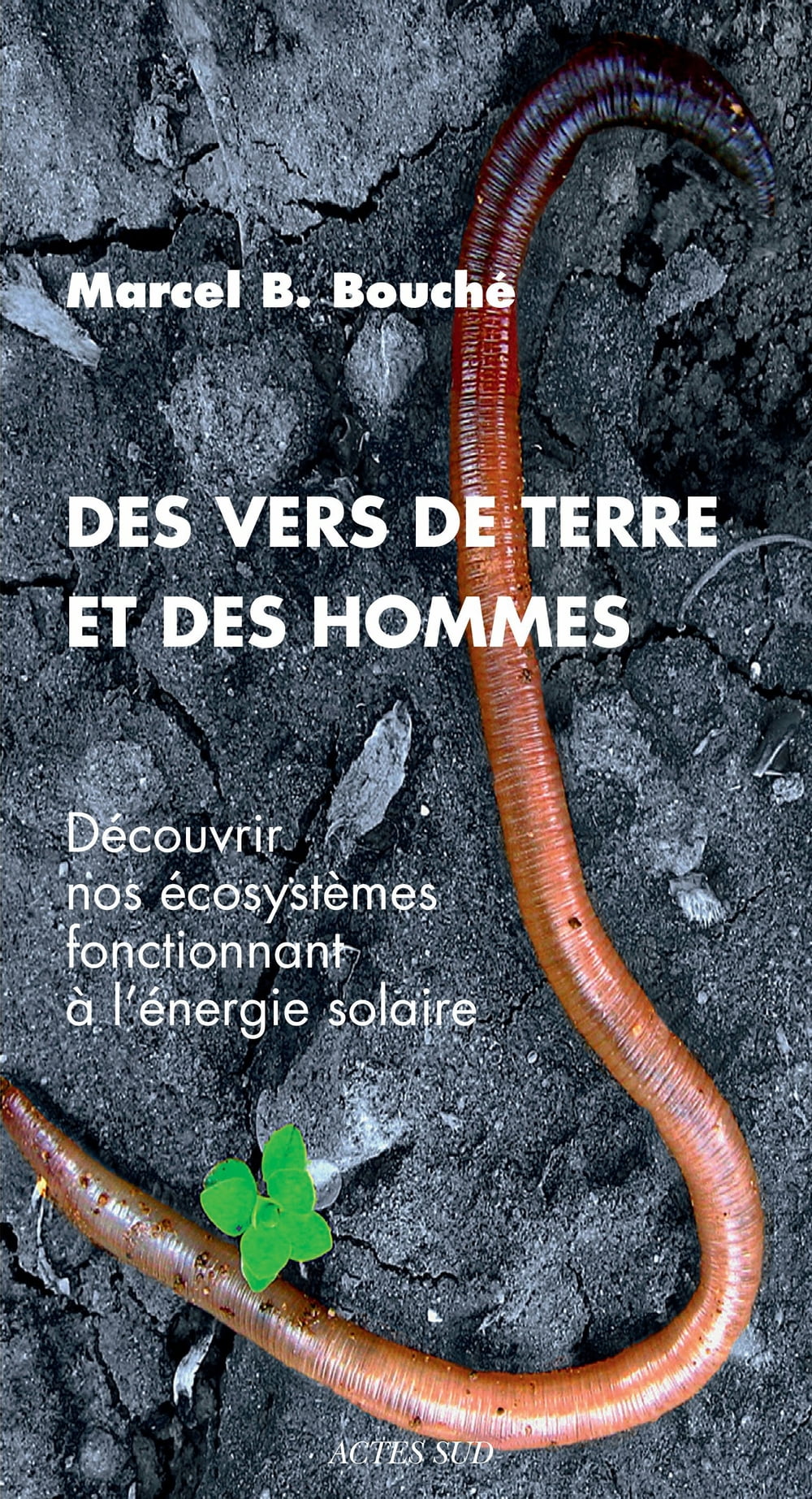 ibs