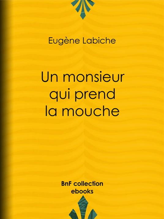 Un monsieur qui prend la mouche