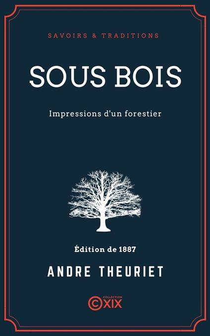 Sous bois