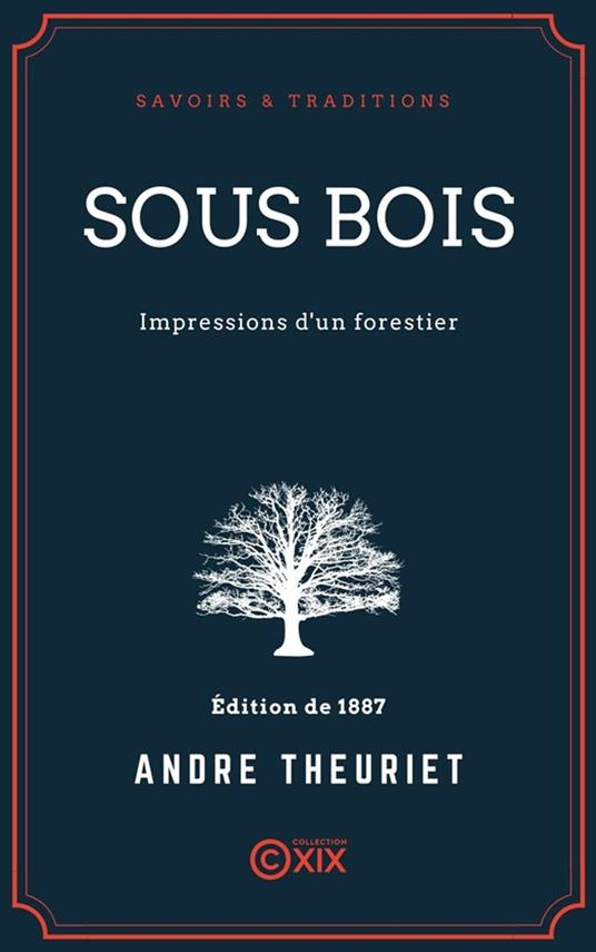 Sous bois