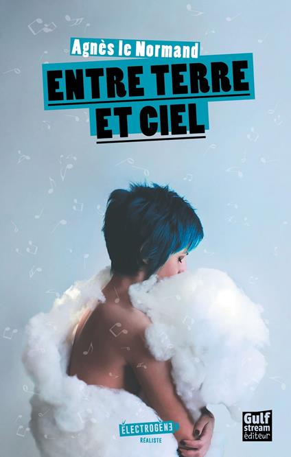 Entre terre et ciel - Agnès Le Normand - ebook