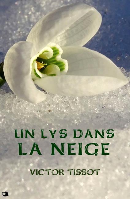 Un lys dans la neige