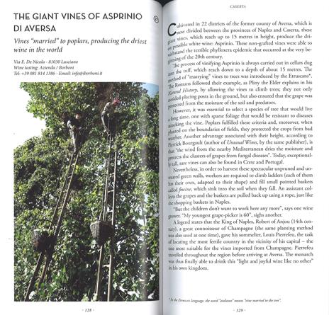 Secret Campania. Capri, Pompeii, Vesuvius, Amalfi coast and surrounding area. Ediz. a colori - Maria Franchini,Valerio Ceva Grimaldi - 4