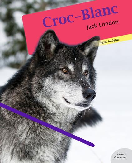 Croc-Blanc - Jack London - ebook