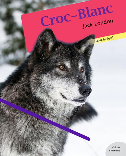 Croc-Blanc - Jack London - ebook