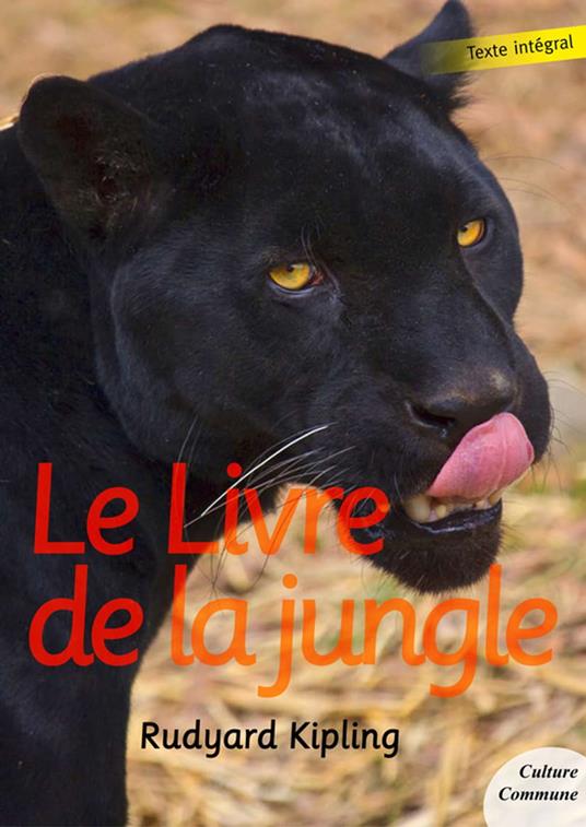 Le Livre de la jungle - Rudyard Kipling - ebook