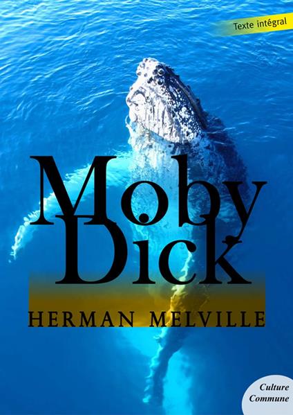 Moby Dick - Herman Melville - ebook