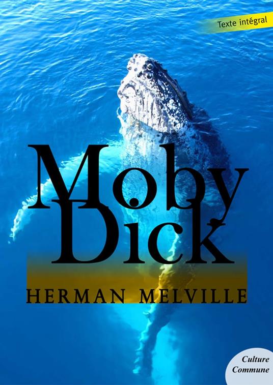 Moby Dick - Herman Melville - ebook