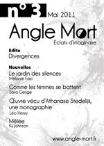 Angle Mort numéro 3