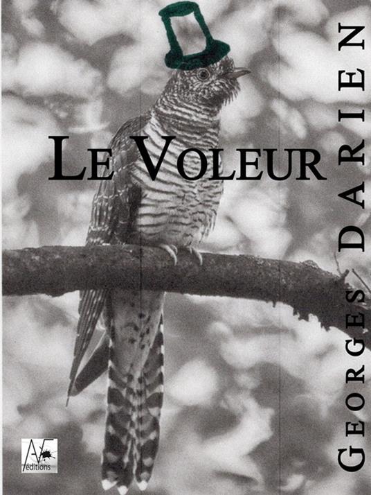 Le Voleur