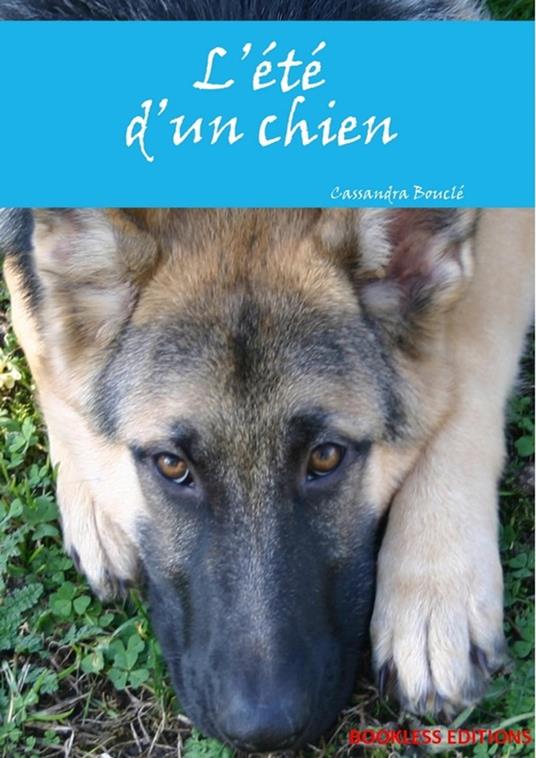 L'été d'un chien - Cassandra Bouclé - ebook