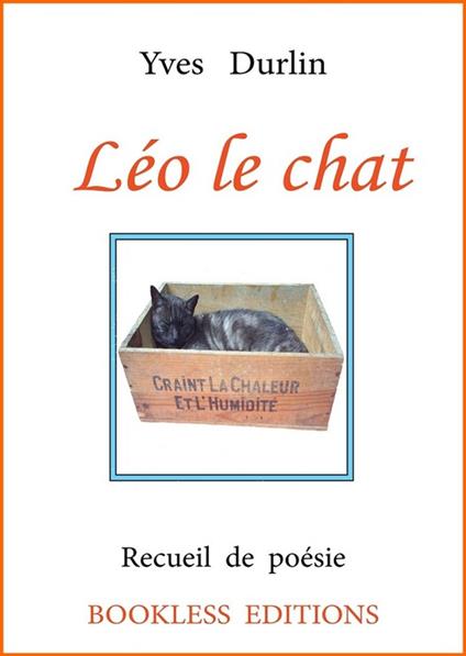 Léo le chat