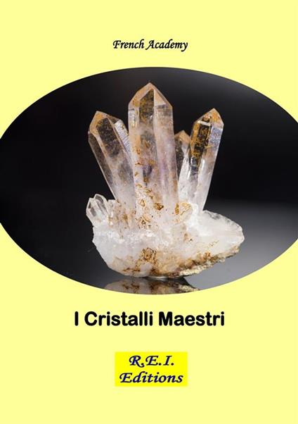 I Cristalli Maestri - French Academy - ebook