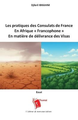 Les pratiques des consulats de France dans la zone d'Afrique francophone en matière de délivrance des visas ou l'art de refuser un visa par service interposé - Djibril Ibrahim - cover