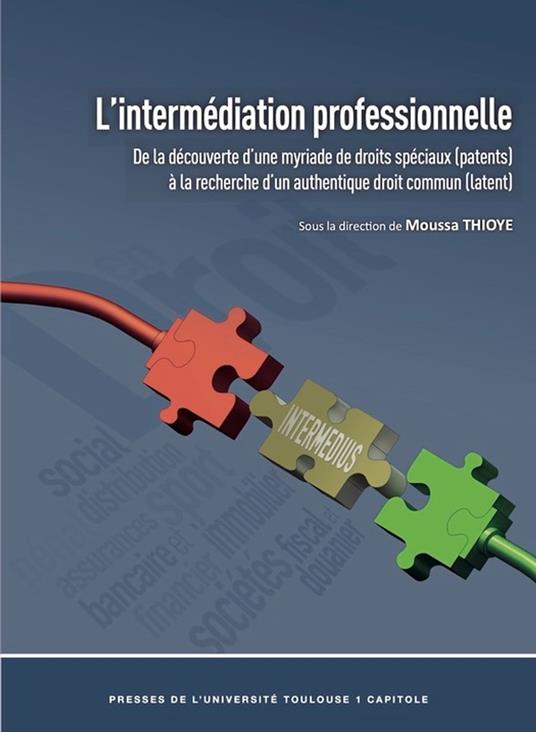 L'intermédiation professionnelle
