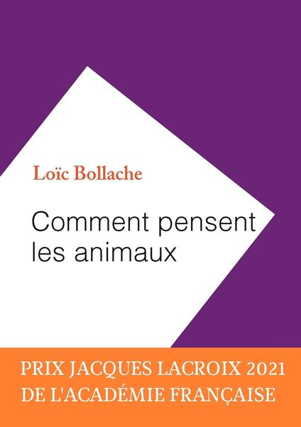 Comment pensent les animaux