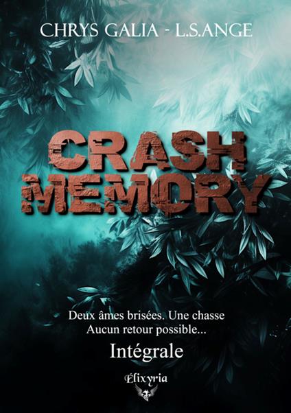 Crash memory - Intégrale