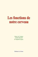 Les fonctions de notre cerveau