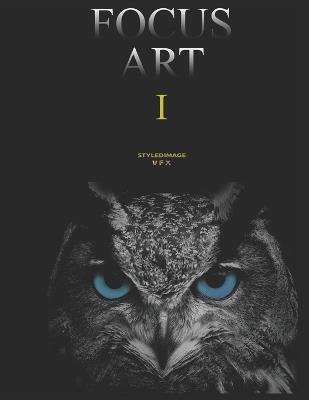 Focus Art 1: Styledimage Vfx - Tolgan Harden - cover