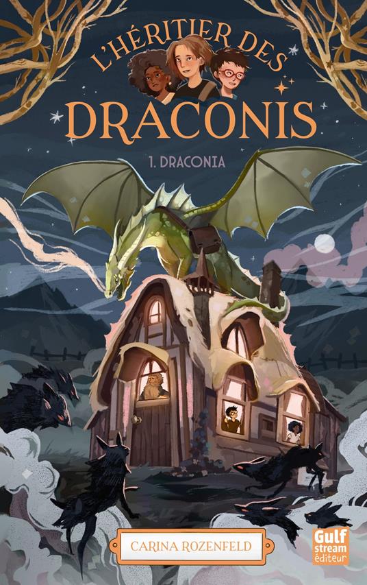 L'Héritier des draconis - Tome 1 Draconia - Carina Rozenfeld - ebook