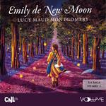 Emily de New Moon (Tome 1)