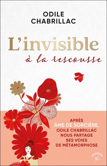 L’invisible à la rescousse