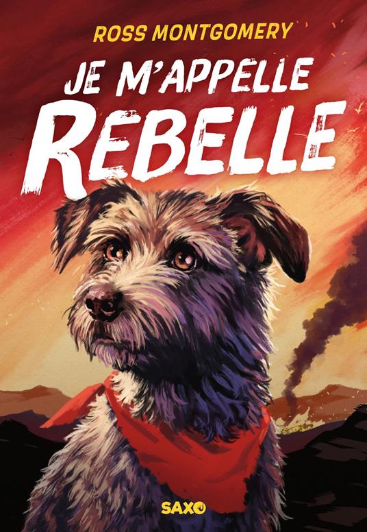 Je m'appelle Rebelle (e-book) - Ross Montgomery,Ariane Linstrumelle - ebook