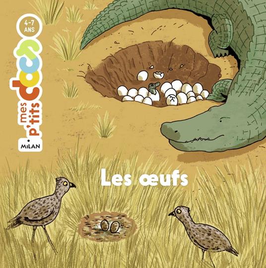 Les oeufs - Stéphanie Ledu,Simon Bailly - ebook
