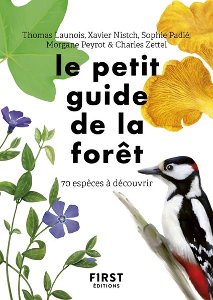 Le petit guide d'observation de la forêt