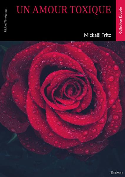 Un amour toxique - Michaël Fritz - ebook