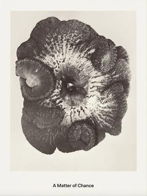 A Matter of Chance - cover