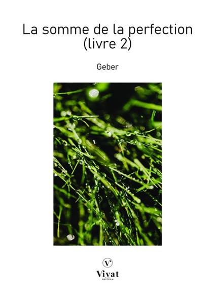 La somme de la perfection (Livre 2) - Geber - ebook