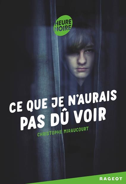 Ce que je n'aurais pas dû voir - Christophe Miraucourt - ebook