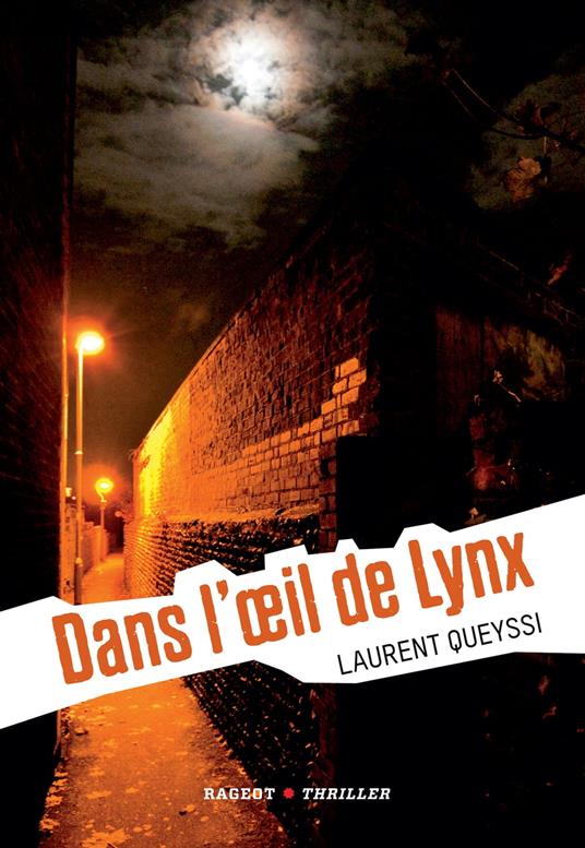 Dans l'oeil de Lynx - Queyssi Laurent - ebook
