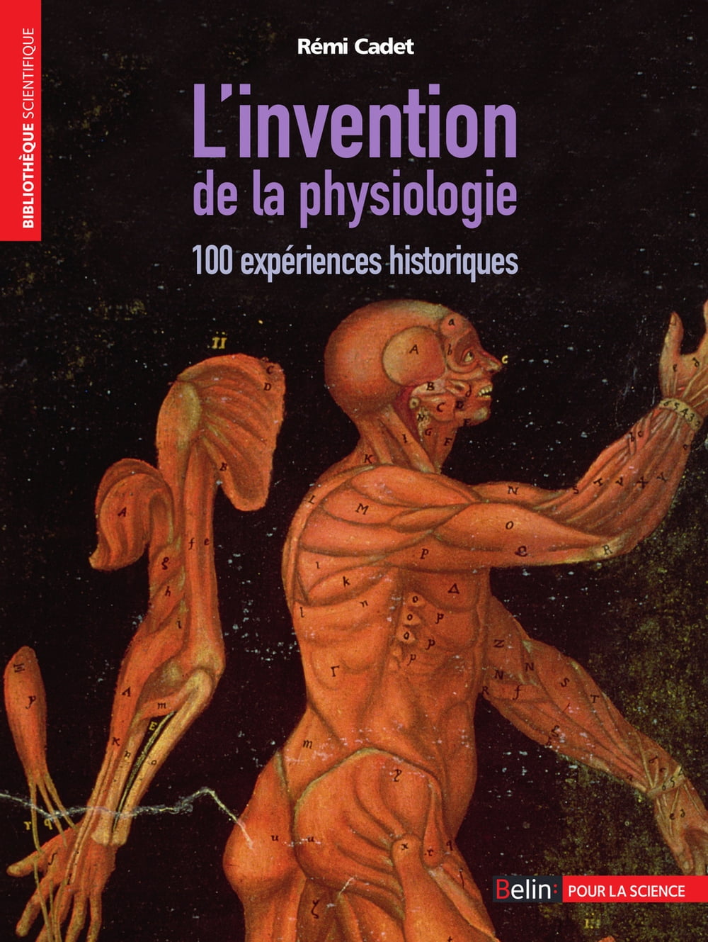 ibs