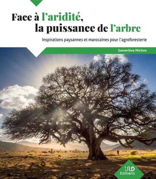 Face à l'aridité, la puissance de l'arbre