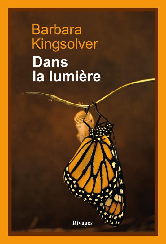 Dans la lumière