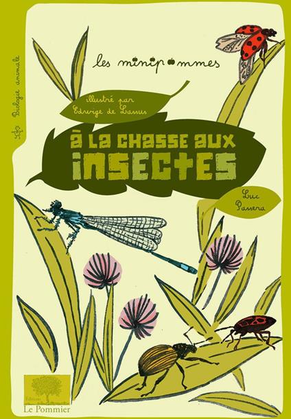 À la chasse aux insectes