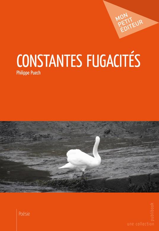 Constantes fugacités