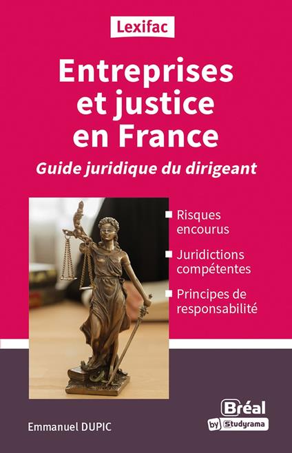 Entreprises et justice en France : Guide juridique du dirigeant