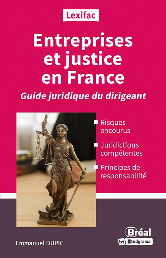 Entreprises et justice en France : Guide juridique du dirigeant