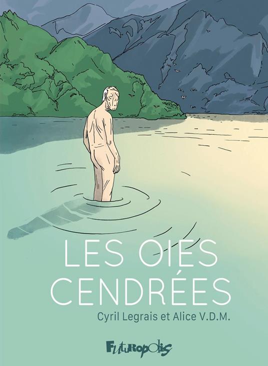 Les oies cendrées