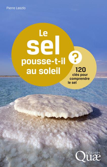 Le sel pousse-t-il au soleil ?