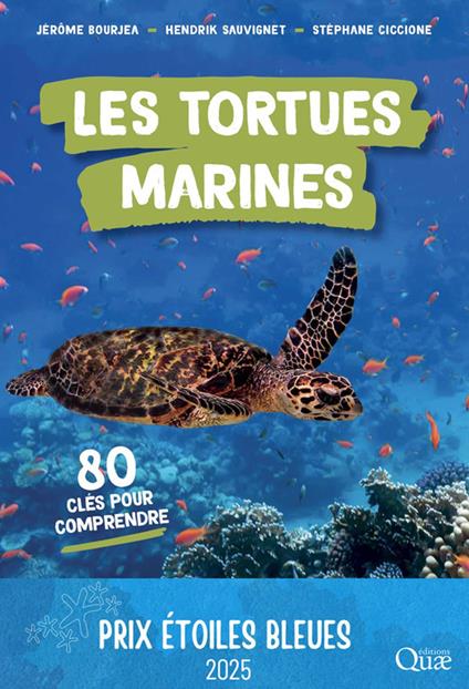 Les tortues marines