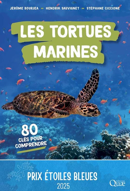 Les tortues marines