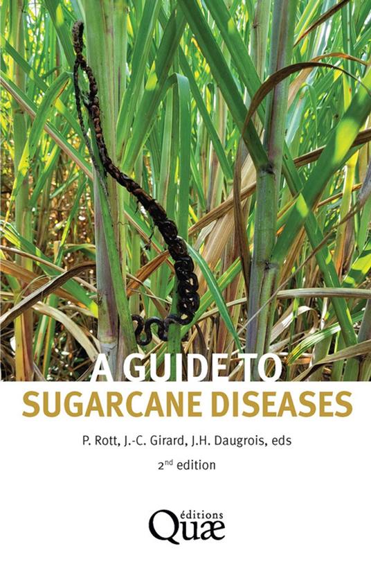 A guide to sugarcane diseases