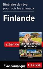 Itinéraire de rêve pour voir les animaux - Finlande