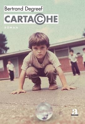 Cartache: Journal d'une révolte moyenne - Bertrand Degreef - cover