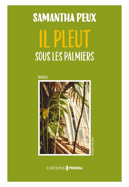 Il pleut sous les palmiers