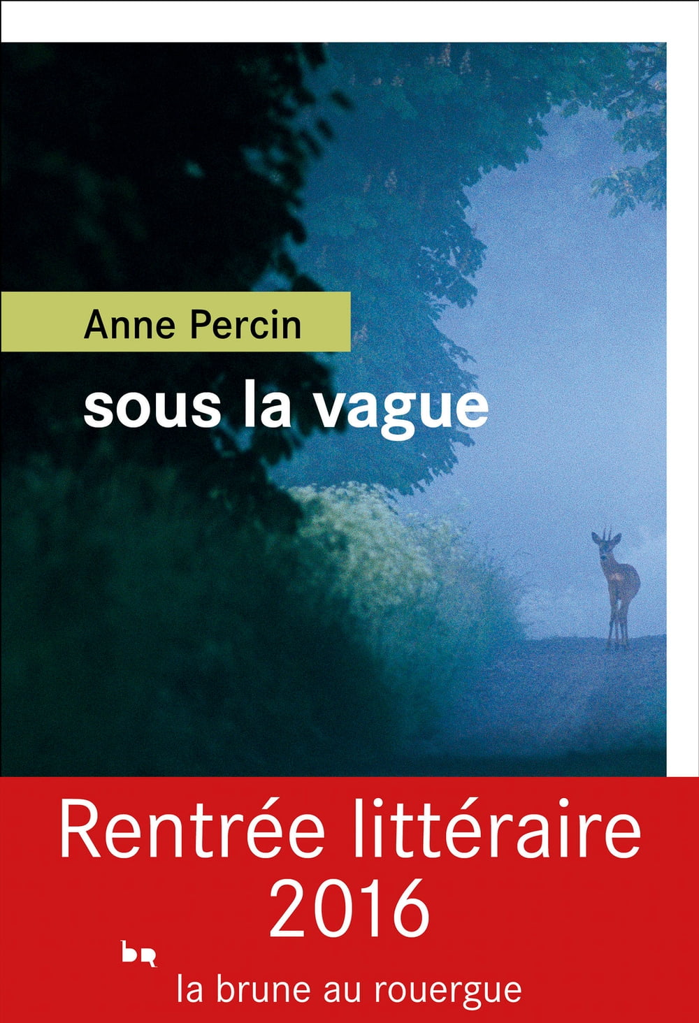 ibs